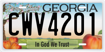 GA license plate CWV4201