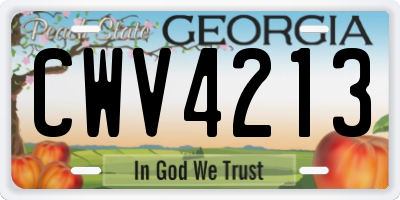 GA license plate CWV4213