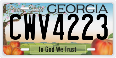 GA license plate CWV4223