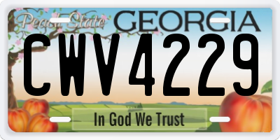 GA license plate CWV4229