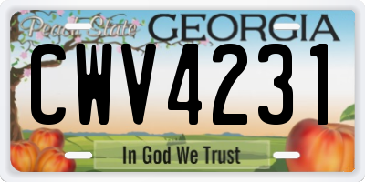 GA license plate CWV4231