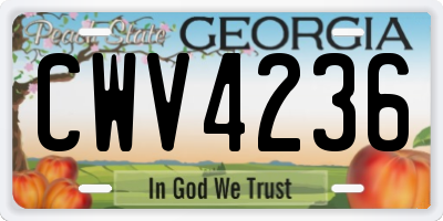 GA license plate CWV4236