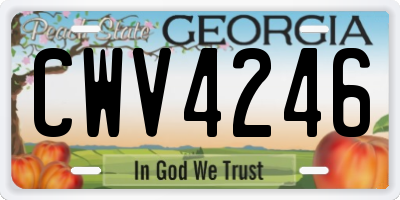 GA license plate CWV4246