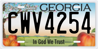 GA license plate CWV4254