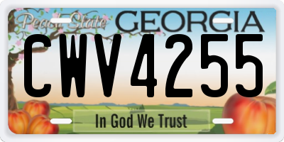 GA license plate CWV4255