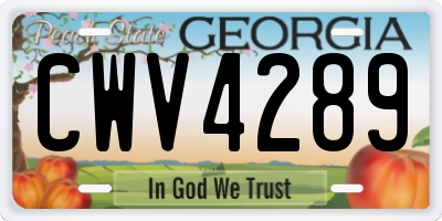 GA license plate CWV4289
