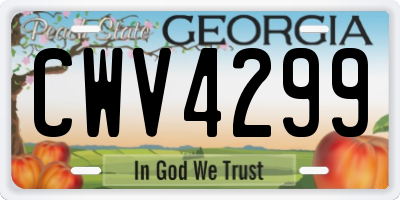 GA license plate CWV4299