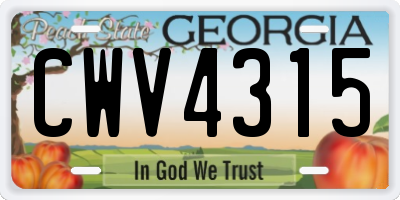 GA license plate CWV4315
