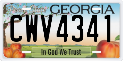 GA license plate CWV4341