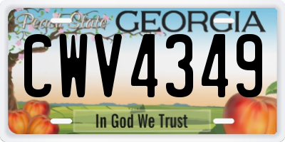 GA license plate CWV4349
