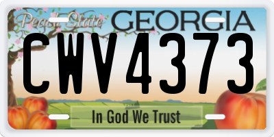 GA license plate CWV4373