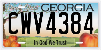 GA license plate CWV4384
