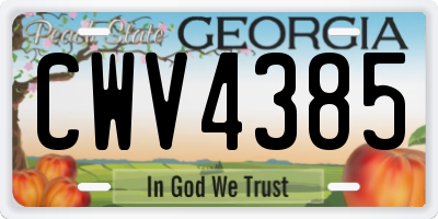 GA license plate CWV4385