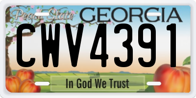 GA license plate CWV4391