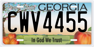 GA license plate CWV4455