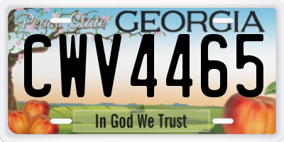 GA license plate CWV4465