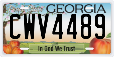 GA license plate CWV4489
