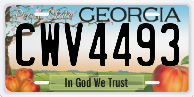 GA license plate CWV4493
