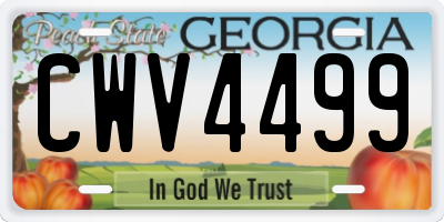 GA license plate CWV4499