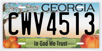 GA license plate CWV4513