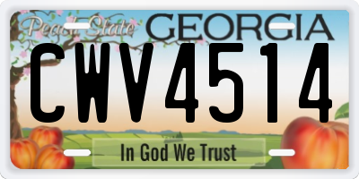 GA license plate CWV4514