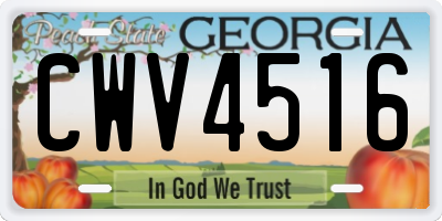 GA license plate CWV4516