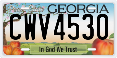 GA license plate CWV4530