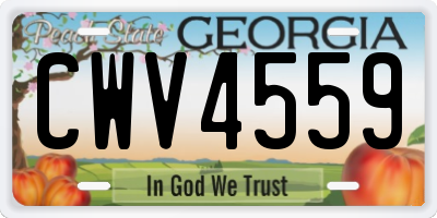 GA license plate CWV4559