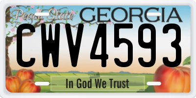 GA license plate CWV4593