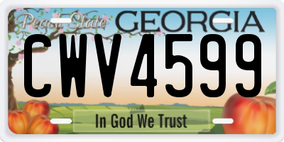 GA license plate CWV4599
