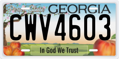 GA license plate CWV4603