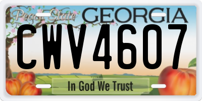 GA license plate CWV4607