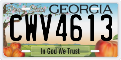 GA license plate CWV4613