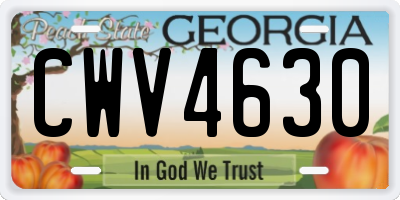 GA license plate CWV4630