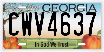GA license plate CWV4637