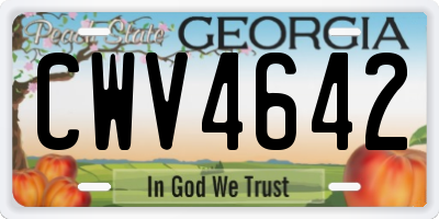 GA license plate CWV4642