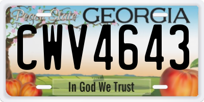GA license plate CWV4643