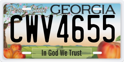 GA license plate CWV4655