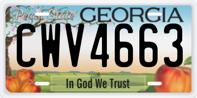 GA license plate CWV4663