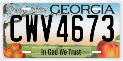 GA license plate CWV4673