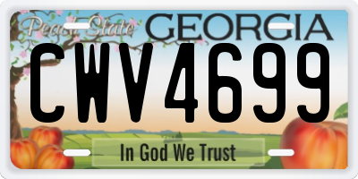 GA license plate CWV4699