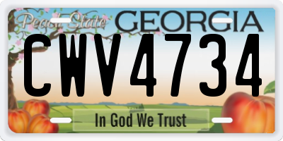 GA license plate CWV4734