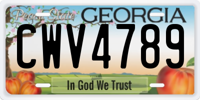 GA license plate CWV4789
