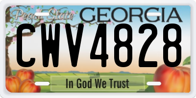 GA license plate CWV4828