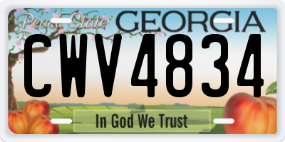GA license plate CWV4834