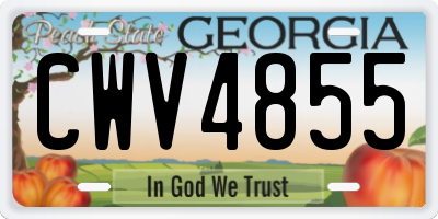 GA license plate CWV4855