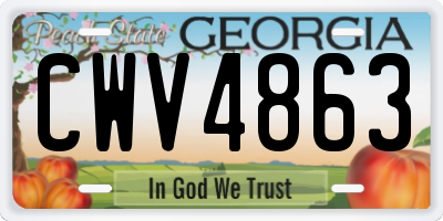 GA license plate CWV4863