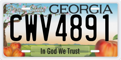 GA license plate CWV4891