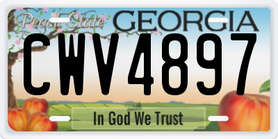 GA license plate CWV4897
