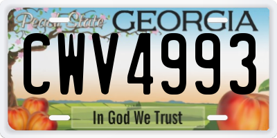 GA license plate CWV4993